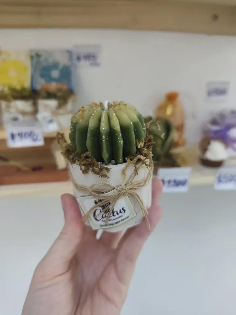 WhatsApp Image 2026-03-11 at 4.39.11 PM.webp