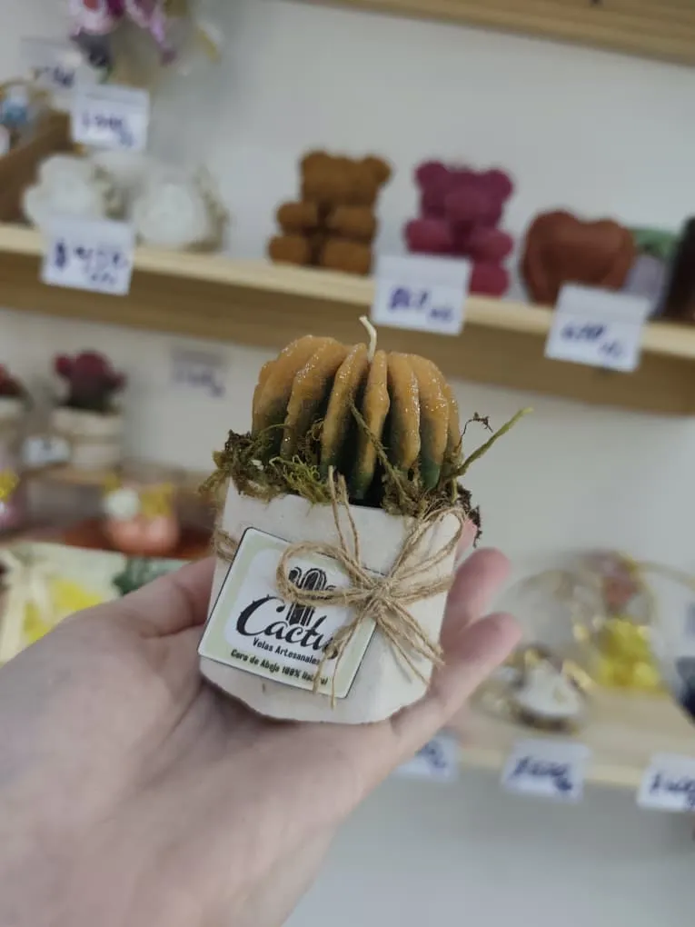 [NR003] Terrario pequeño