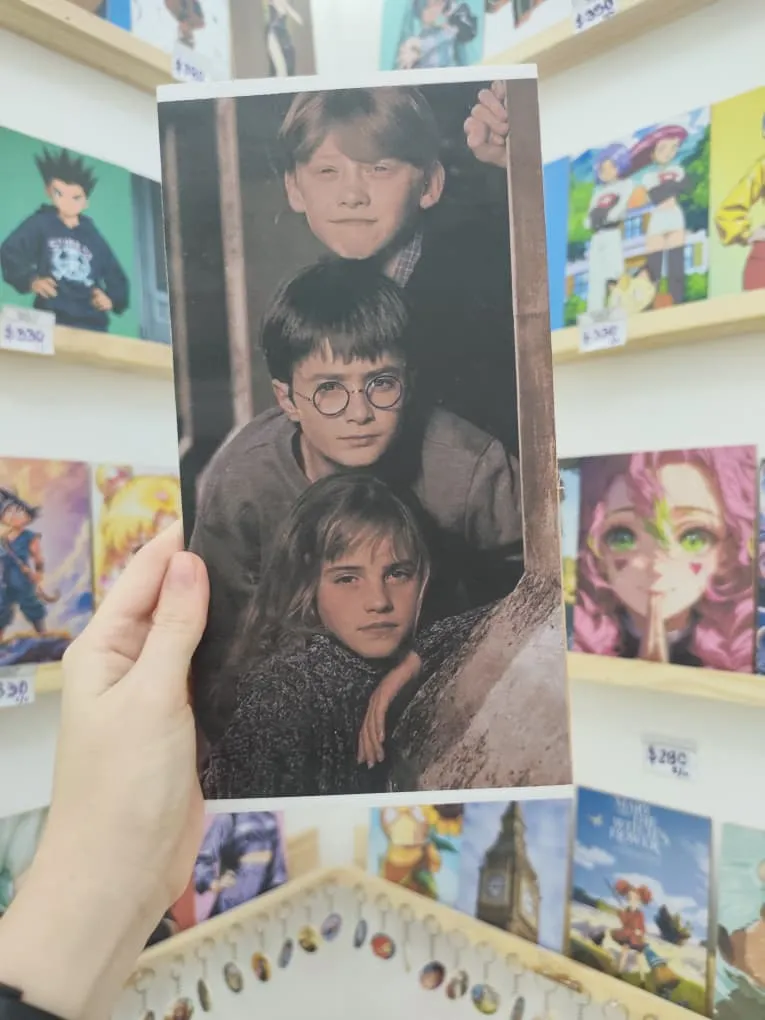 Cuadro de madera 430 (Harry Potter)